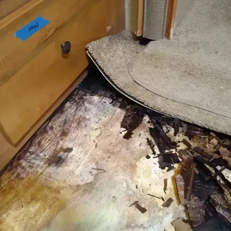 Wood Floor Water Damage in Ontario, CA